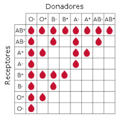 Donaci n De Sangre M xico Sonr e