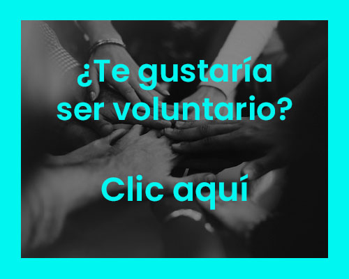 Voluntariado